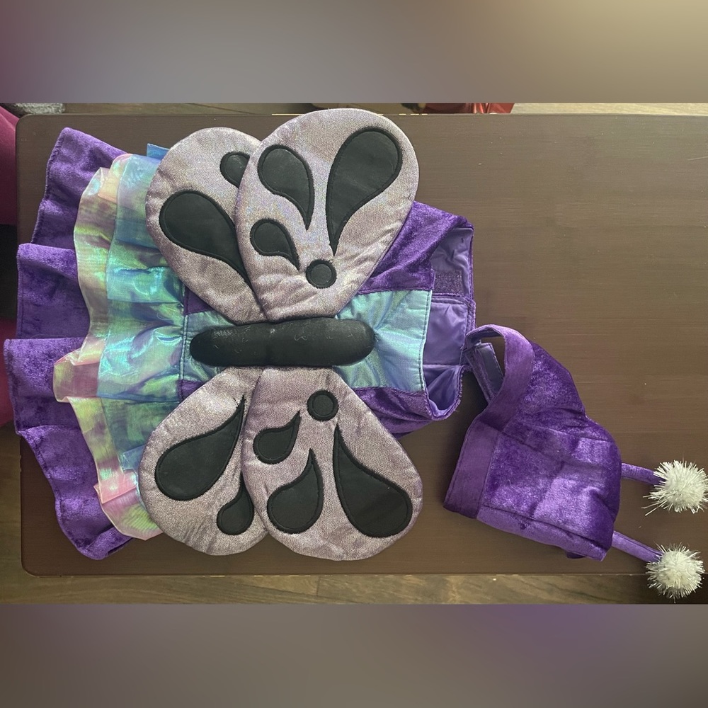 Butterfly Costume